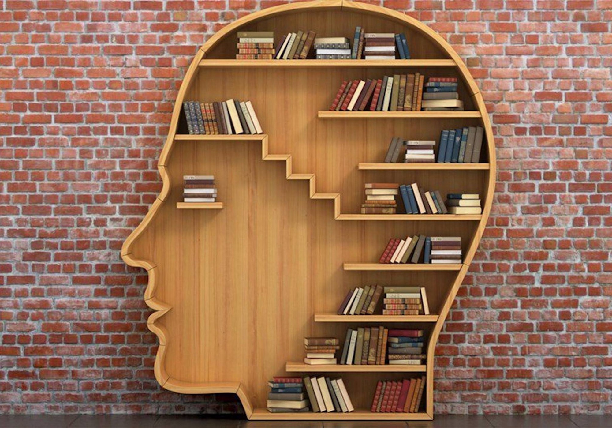 books in the head